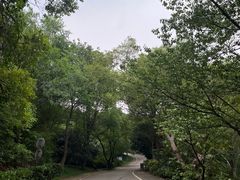 -南京市江宁方山