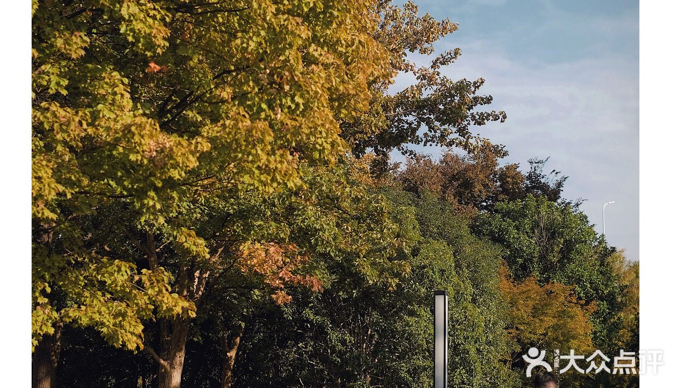 魔都manner苏州河新店‼️超美景观咖啡厅‼️