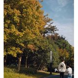 魔都manner苏州河新店‼️超美景观咖啡厅‼️