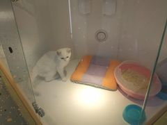 -龟与熊猫宠物公园(南坪店)