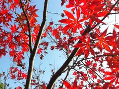 -杭州海华满陇度假酒店