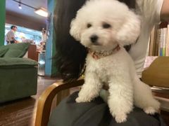 -默迹咖啡馆