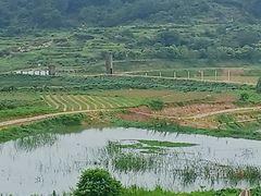 -大姆山草场