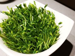 豆苗-海底捞火锅(吴中路店)