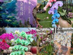 -北戴河集发农业梦想王国