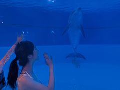 -横琴湾水世界
