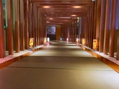 -重庆南山海昌汤都