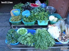 食材-苍洱春饭店