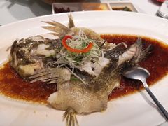 -沪碟·精菜坊(闵行店)