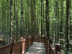 -山王坪喀斯特国家生态公园