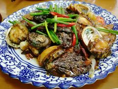 招牌红焖鲍鱼-鑫鸿达·海鲜闽菜热炒小馆(中山路店)