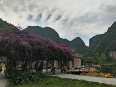 -靖西鹅泉风景区