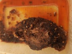 -蜀都冒菜·酱蟹生腌