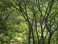 -妙峰山风景名胜区