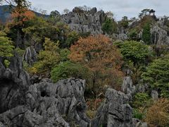 -千岛湖石林