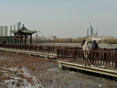 -莲花池公园