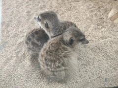-海合安武汉极地海洋公园