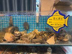 -韩记海鲜饺子旗舰店(红海新区店)
