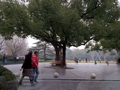 -御花园·粤菜·海鲜火锅(中山公园店)