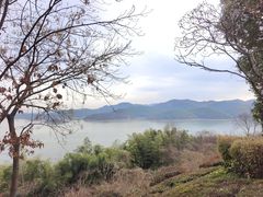 -天目湖涵田半山温泉