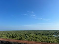 -北海金海湾红树林生态旅游区