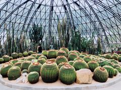 -深圳仙湖植物园