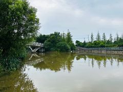 -上海长兴岛郊野公园
