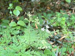 -南山风景名胜区