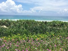 -三亚亚龙湾天域度假酒店