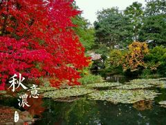 -北海道厅旧本厅舍(旧本庁舎)