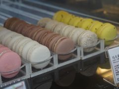 -7senses(金狮广场店)