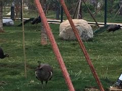 -云南艺术学院(呈贡校区)