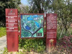 -王借岗森林公园