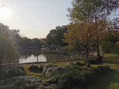 -上海海湾国家森林公园