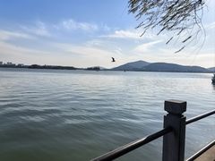 -无锡蠡湖国家湿地公园-蠡园