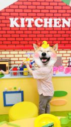 -莫莉幻想儿童乐园(郑州丹尼斯三天地店)