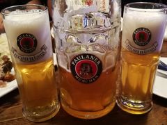 -宝莱纳啤酒花园餐厅PAULANER BRAUHAUS Nanjing(广州路店)