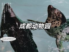 -成都动物园
