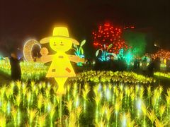 -国际非物质文化遗产博览园