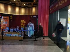 -万达影城(闵行颛桥万达广场杜比影院店)