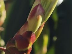 -黄山翡翠谷景区