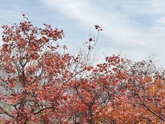 -周口店坡峰岭风景区