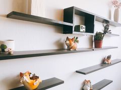 -汪说·狗咖(旺城大厦店)