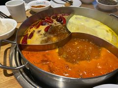 -青瓷火锅料理(西单大悦城店)