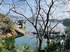 -千岛湖城中湖游船码头