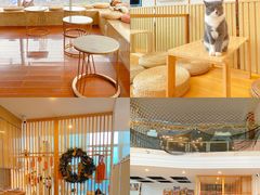 大堂-Catmate·猫肥家润(金润铂宫店)