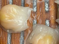 虾饺-琼海·狮椰美食楼