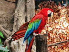 -波塞冬旅游度假区