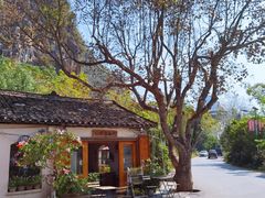 -村上春树