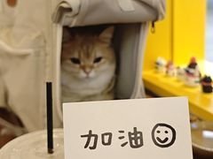 -夹夹大·蟹蟹大排档(财富又一城店)